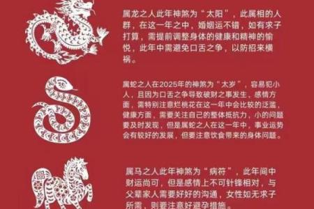 八字不缺的人命好不好,算命先生不敢算龙凤命