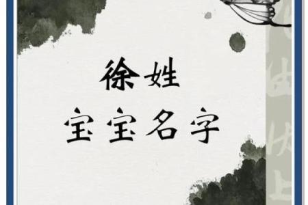 徐姓女孩名字大全-徐姓女孩起名字大全-徐姓名字大全姓名