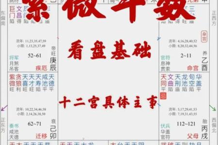 紫微斗数夫妻宫紫薇星