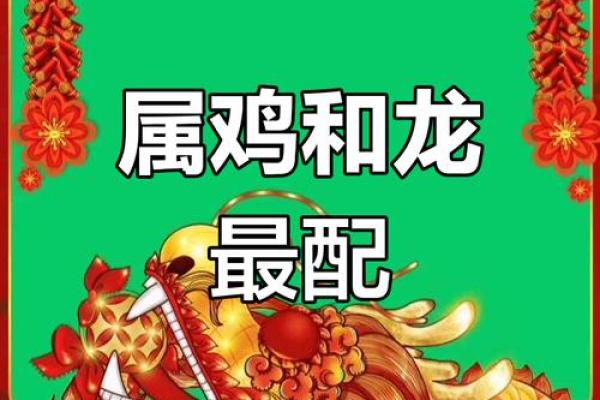 鸡跟什么生肖配对最好 生肖鸡最佳配对 鸡跟什么生肖配对最好 生肖鸡最佳配对
