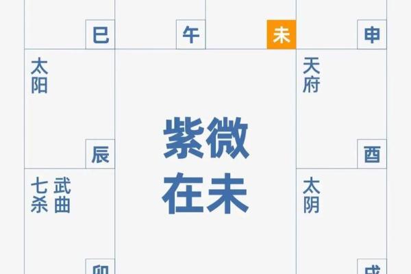 左右相会紫薇斗数