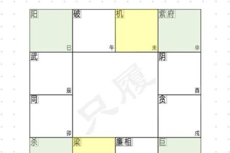 紫微斗数十四主星：天机星概论