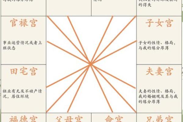 紫微斗数大限紫薇天相