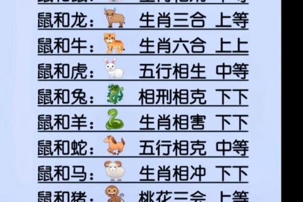 生肖属兔和属狗的合不合 相合配对指数
