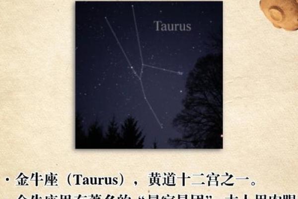 5月20日是什么星座