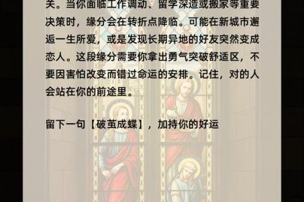 塔罗测试能否相亲遇到他？