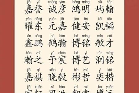 2019年3月27号午时出生的男孩起名时要注意什么姓名