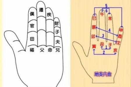 一掌经算命最准的方法