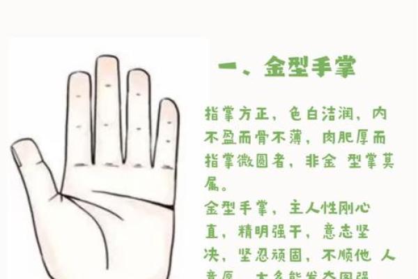 手型算命：金型手人的性格与命运