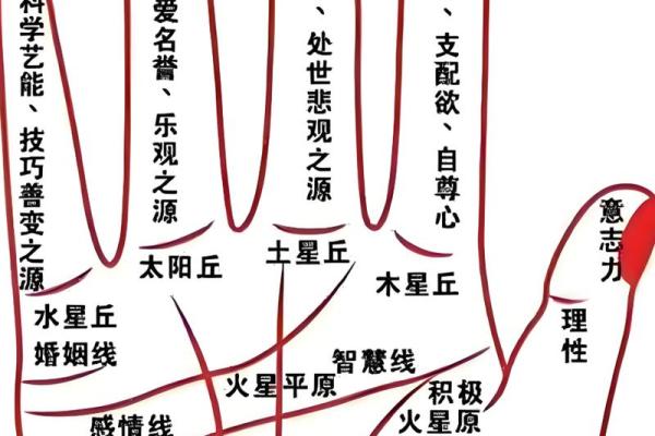 手型算命：金型手人的性格与命运