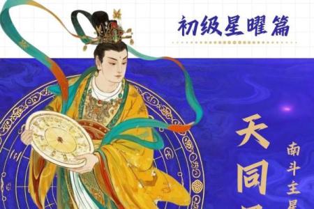 高人汇紫薇斗数