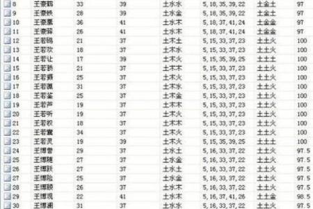 大师生辰八字取名，百度免费取名，最准取名