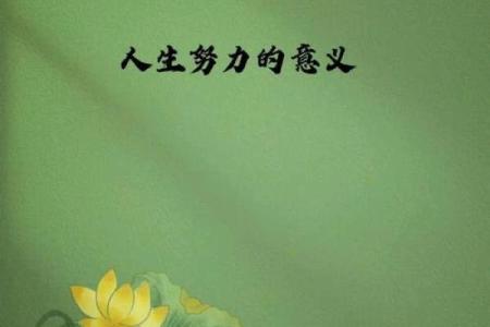 十二星座女神狩猎计划，你的爱情命运掌握在手