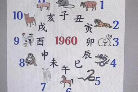 紫薇斗数看投资