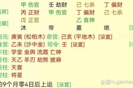 八字官杀混杂走食神大运 有什么含义