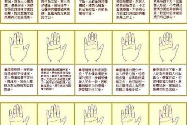 凯帝阿手相算命图解大全06