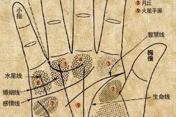 凯帝阿手相算命图解大全06