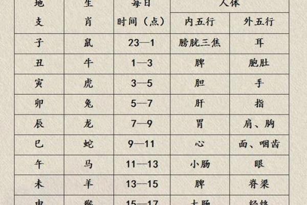 八字十二地支的五行属性