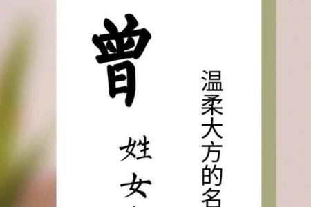 姓曾的名人-姓名学-华易算命网姓名