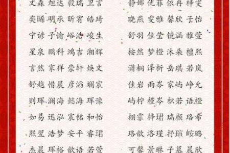 八字取名,生辰起名网免费取名