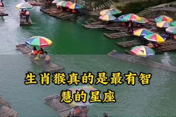 猴VS十二个星座